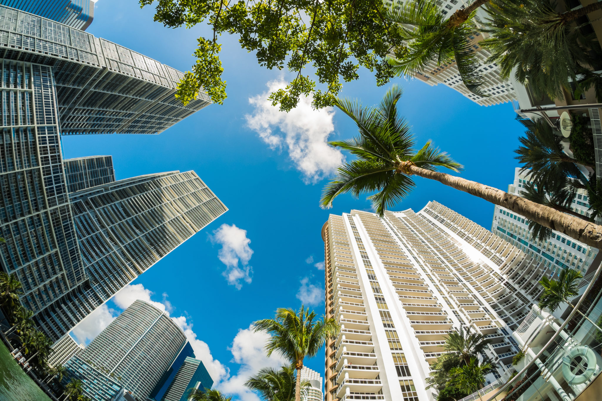 New Miami Industry Groups Requests
